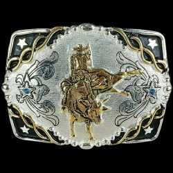 FIVELA BIG MONTARIA EM TOURO - CÓD. 563