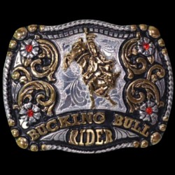 FIVELA BULL RIDER - CÓD. 584